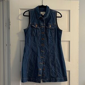 Universal Thread Dark Blue Denim Dress